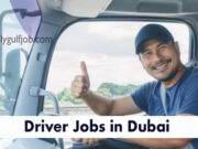 Driver Job in Dubai