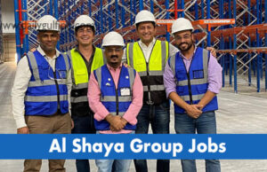 Alshaya Group Career